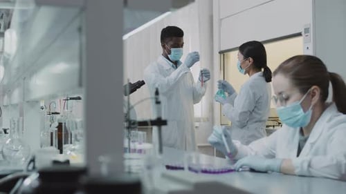 Scientists Working in Bright Modern Laboratory