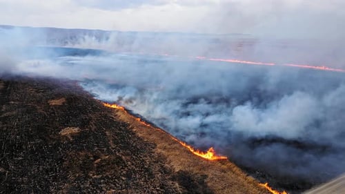 Aerial View of a Burning Dry Field