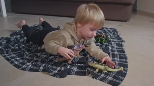 Child Playing Dinosaurs on Blanket Indoors