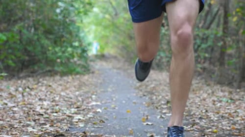 Close Up Legs of Sporty Man Running Along Trail in Early Autumn Forest. Male Feet of Young Athlete