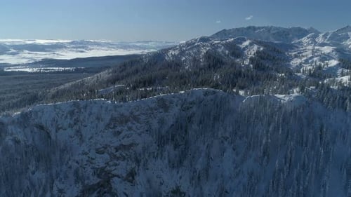 Flight Over the Snowcovered Spruce Forest with Mountains in the Background