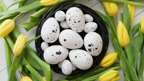 Festive Easter Eggs Surrounded by Yellow Tulips