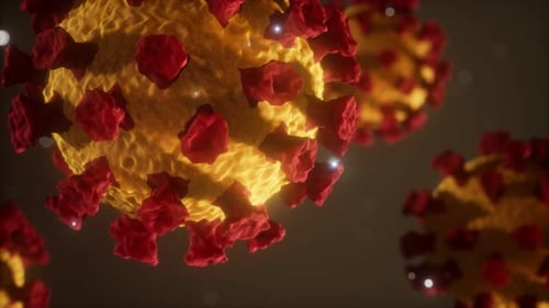 Coronavirus COVID19 Medical Model