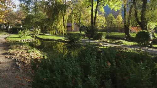 Walking At The Sunny Autumn Park 4