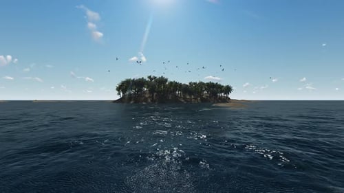 Palm Island und fliegende Vögel