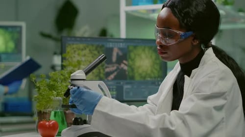 Biotechnology Scientist Examining Botany Green Leaf