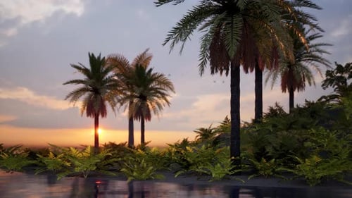 island in the middle of the sea. sunset