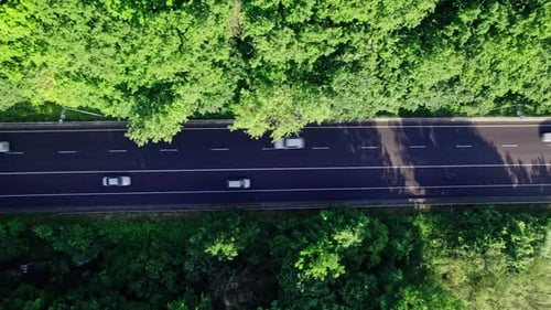 Straße mit Autos im bunten Wald