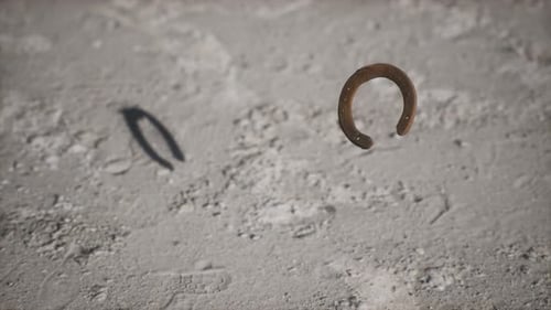 Falling Lucky Horseshoe 3D Animation
