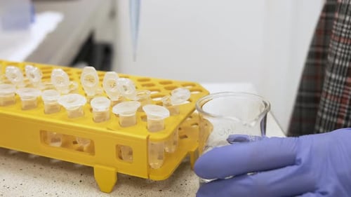 Scientific Liquid Transfer in Laboratory Setting