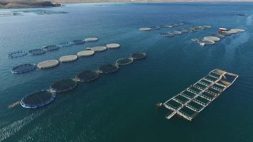 Fish Breeding Farm.