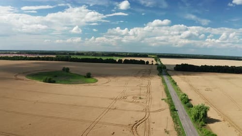 Aerial View of Wheat Field at Summer