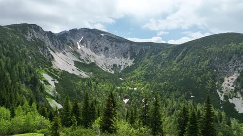 Lush Mountain Landscape with Greenery and Forest