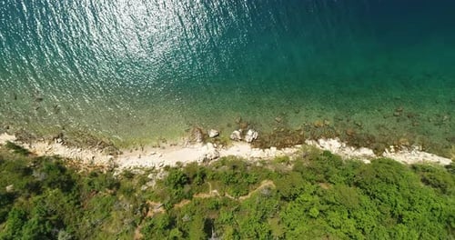 Aerial View of Tropical Beach and Green Ocean