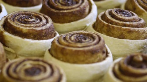 Freshly Baked Cinnamon Rolls Close Up