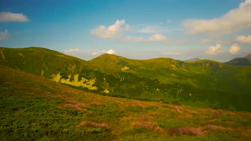 Breathtaking Panoramic View of the Carpathian Mountains