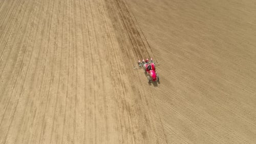 Red Tractor in a Field