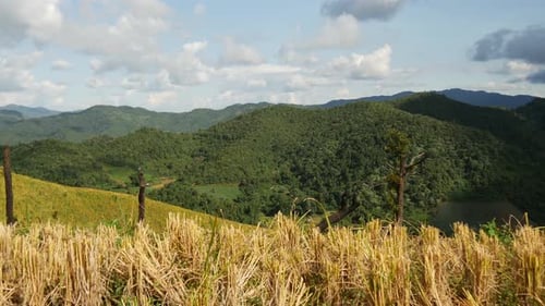 Pan from the mountain landscape with rice field in North Thailand