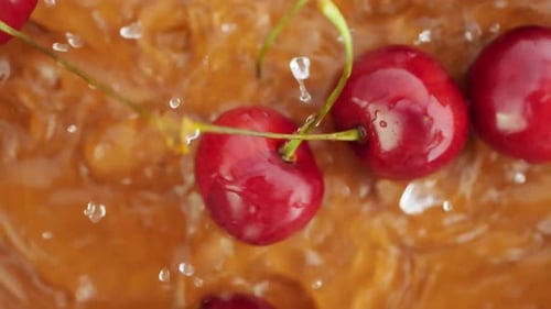 Ripe Juicy Dark Red Cherry Berry Falling Down in Water