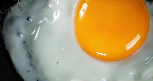 The Egg Is Fried in a Hot Frying Pan