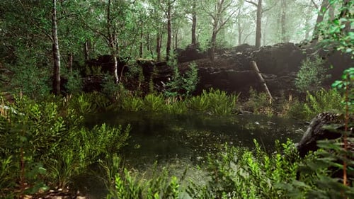 Summer Forest Landscape with Green Deciduous Trees on the Bank of the Small Pond