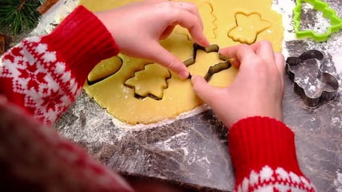 Xmas Biscuits