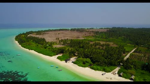 Aerial drone shot texture of exotic resort beach wildlife by clear lagoon with clean sand background
