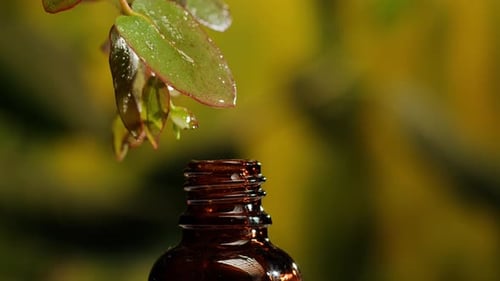 Perfumery
