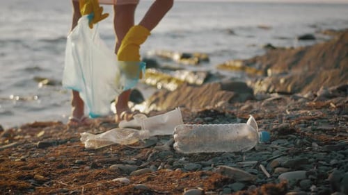 Volunteer Girl Collects Trash in the Trash Bag. Plastic Bottles and Other Trash on Sea Beach