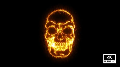 Feuerbrennender Totenkopf V11
