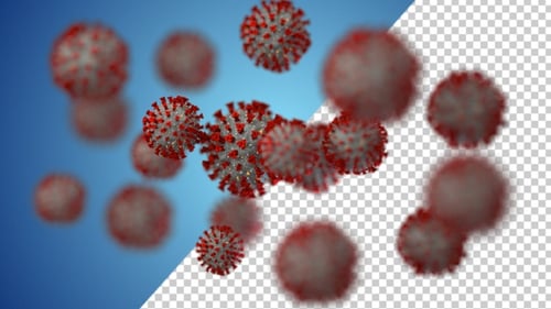 Virus respiratorio del coronavirus nCoV