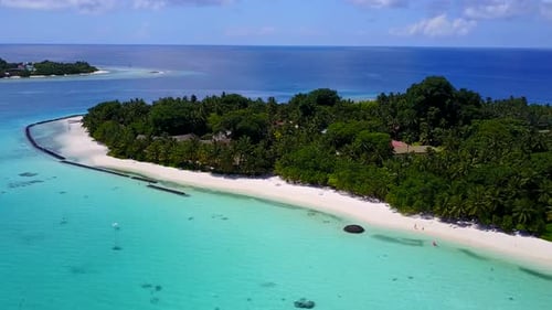 Aerial drone panorama of seashore beach wildlife by sea and sand background