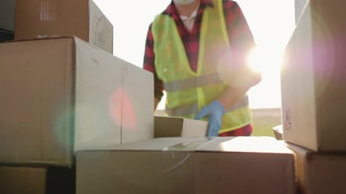 Delivery Man Sorting Packages in Truck on Sunny Day