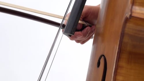 Woman Hand Playing Violoncello with Cello Bow. Close Up