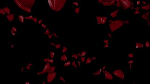 Falling Red Rose Petals Overlay