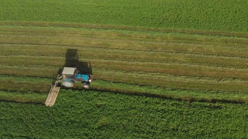 Landwirt auf einem Traktor mäht das Gras für Tierfutter