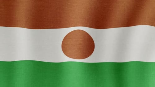 Niger Flag Waving Seamless Loop Animation