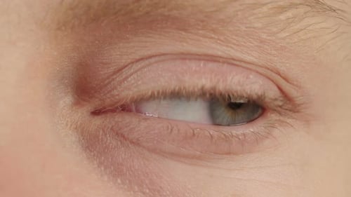 Extreme Close-up of a Single Human Eye