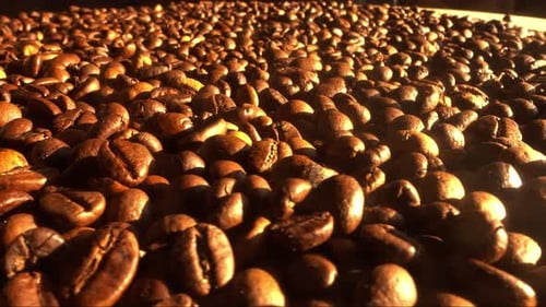 Close Up of Coffee Beans Piled Together