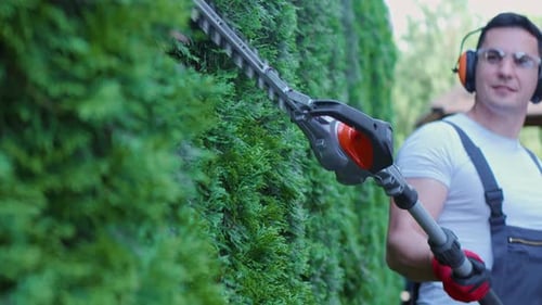 Competent Gardener Carrying Out Seasonal Work with Plants Outdoors