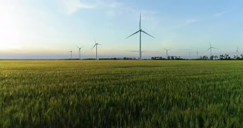 Grupo de molinos de viento para la producción de energía eléctrica en el campo verde del trigo