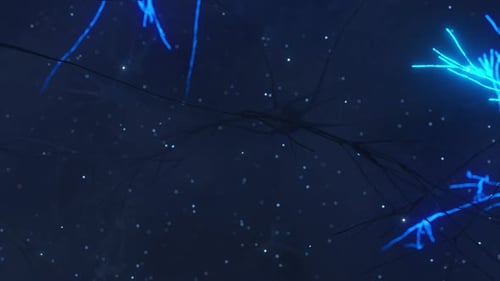 Animation of the Activity of Neurons and Synapses