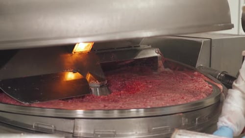 Meat Processing in an Industrial Machine
