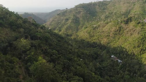 Tropical Landscape Rainforest and Mountains