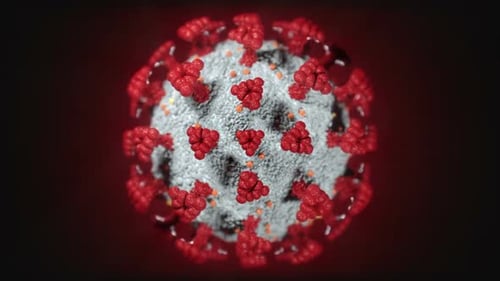 Covid-19 microorganism