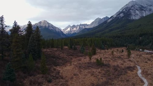 Mountain range and trail pine tree forest yellow grass in autumn approaching