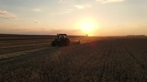 Combine Harvester Working In A Wheat Field At Sunset. Organic Farming.