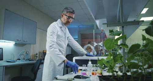 Scientist Analyzes Test Tubes in Bright Laboratory