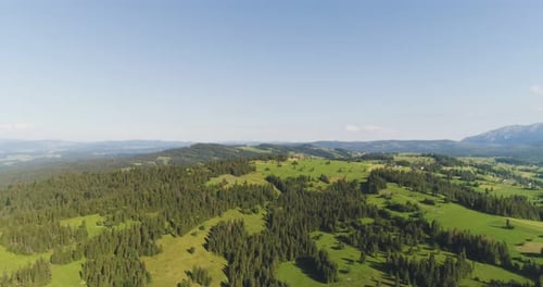 Flying Over the Beautiful Forest Trees. Landscape Panorama.