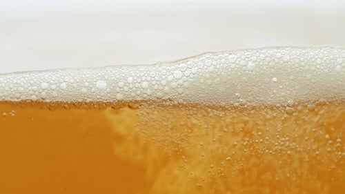 Frisches Bier sprudelt im Glas